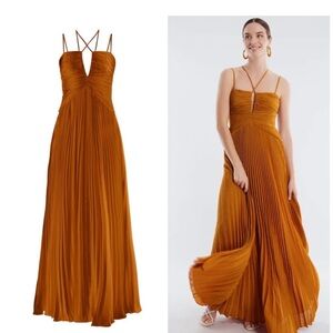 BCBGMaxAzira Ziv Chiffon Gown in Rust Size 2 NWT